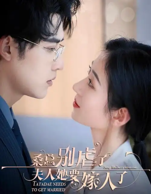 风起南洋 年代剧在线观看